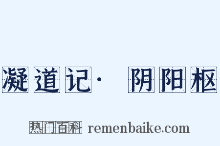 凝道记·阴阳枢是什么意思的图片